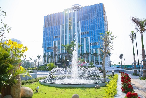 cá cược thể thao hul city